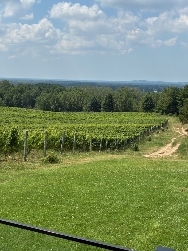 Rove Estate Winery on the Old Mission Peninsula, Northern Michigan
