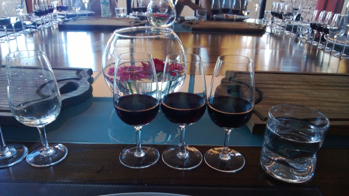 High-altitude Uco Valley vineyards with the Andes in the background